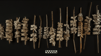 «Συναρμολογώντας τους νεκρούς»: Γιατί οι αυτόχθονες του Περού «έδεναν» τους σπονδύλους των σκελετών;