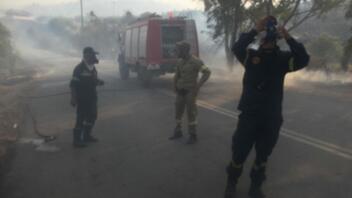 Μεσσηνία: Μεγάλη φωτιά στη Σκάλα στην περιοχή του Μελιγαλά