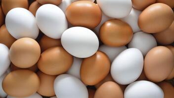 Φόβοι για αύξηση 100% της τιμής στα αυγά