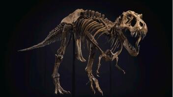 Ο «μυστήριος» ιδιοκτήτης του «Stan the T-rex» αποκαλύφθηκε μετά από δημοπρασία 31,8 εκατ. δολαρίων