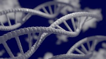 Σημαντική έρευνα: Πώς το DNA του μιτοχονδρίου «τρυπώνει» και αλλάζει το ανθρώπινο