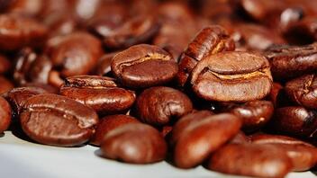 Coffee Brands: Η νεά αλυσίδα που επενδύει στην κρητική αγορά καφεστίασης