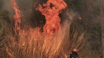Μαίνεται η φωτιά στη Σάμο: Καίει σε 3 μέτωπα 