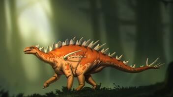 Ανακαλύφθηκε στην Κίνα ο Μπασανόσαυρος, ένα νέο είδος δεινόσαυρου στεγόσαυρου