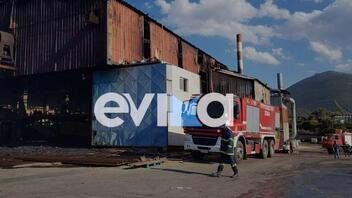 Φωτιά στην Εύβοια: Μεγάλες οι ζημιές στο εργοστάσιο του Αλιβέριου