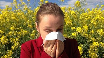 Αλλεργίες: Πώς μπορείτε να τις θεραπεύσετε και να σταματήσετε να φτερνίζεστε;