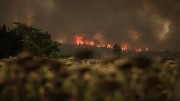 Zάκυνθος: Ανεξέλεγκτες δύο πυρκαγιές που ξέσπασαν με διαφορά μιας ώρας σε δάση