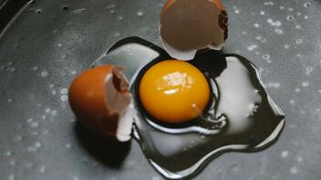 Η γρίπη των πτηνών "εκτοξεύει" την τιμή των αυγών στις ΗΠΑ 