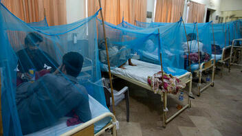 Επιδημία δάγκειου πυρετού στην Ακτή Ελεφαντοστού