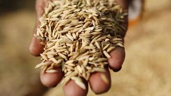 Η Ουκρανία αναμένεται να στείλει φορτίο σιτηρών στην Αιθιοπία