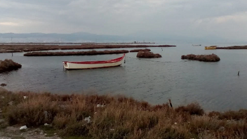Θρίλερ στη Θεσσαλονίκη: Εντοπίστηκε το πόδι από το ακέφαλο πτώμα