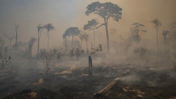 Οι χειρότερες πυρκαγιές σε 18 χρόνια για μήνα Μάιο στην Αμαζονία	