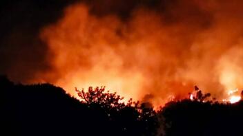 Συναγερμός για νέα μεγάλη φωτιά - Κάηκαν 8 στρέμματα δασικής έκτασης
