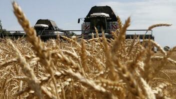 Πάνω από μισό εκατομμύριο τόνοι σιτηρά εξήχθησαν από την Ουκρανία