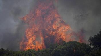 Δασικές πυρκαγιές στη νότια Γαλλία