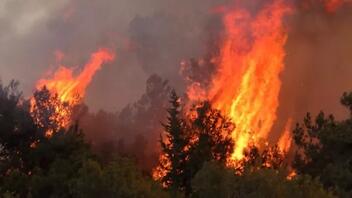 Στις φλόγες χιλιάδες στρέμματα δάσους στην Ισπανία