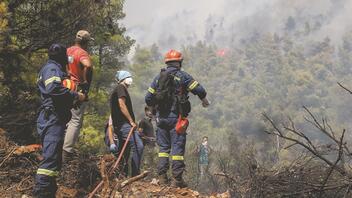 Φωτιά σε δασική έκταση στην Κασσάνδρα
