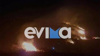 Πυρκαγιά στον Κάλαμο του Δήμου Κύμης Αλιβερίου – Πνέουν πολύ ισχυροί άνεμοι