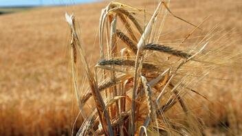 Την ερχόμενη εβδομάδα η υπογραφή συμφωνίας για εξαγωγές σιτηρών από την Ουκρανία