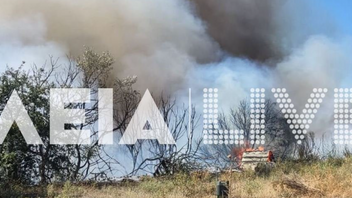 Συναγερμός για μεγάλη φωτιά στην Ηλεία 