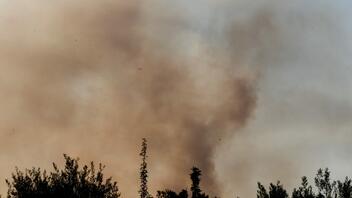 Φωτιά στα Μέγαρα: Καίγονται σπίτια σε Αλεποχώρι και Παπαγιαννέικα – Νέο μέτωπο στην Αγία Άννα 