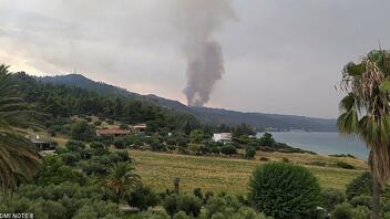 Χαλκιδική: Τρεις δασικές φωτιές σε Κασσάνδρα και Σιθωνία