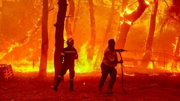Πενήντα τρεις πυρκαγιές το τελευταίο 24ώρο σε όλη τη χώρα