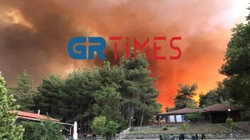Φωτιά στο Δάσος της Δαδιάς: Ολική η καταστροφή για τον Τουρισμό 