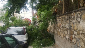Έπεσε δέντρο στο κέντρο του Ηρακλείου 