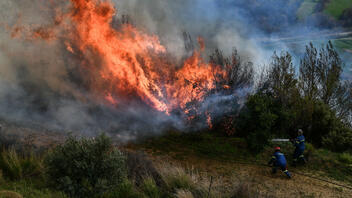 Μεγάλη φωτιά στην Άμφισσα: Ανεξέλεγκτες οι φλόγες και μάχη σε τρία μέτωπα 
