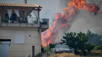 Δραματικές ώρες στην Ηλεία: Καίγονται σπίτια - Εκκενώνονται χωριά 