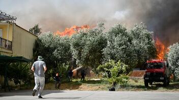 Δύσκολες ώρες στην Ηλεία: "Οι φλόγες μας περικύκλωσαν όπως το 2007" λένε οι κάτοικοι