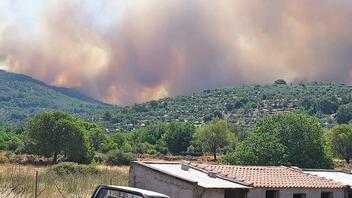 Φωτιές: Πάνω από 25.000 στρέμματα κάηκαν στη Δαδιά, 17.000 στην Λέσβο