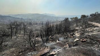 Λέσβος: Πόσα στρέμματα κάηκαν από τη φωτιά – Ποια ήταν η σφοδρότητα καύσης