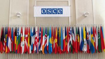 ΟΑΣΕ: Αξιολόγηση της κατάστασης σεβασμού των ανθρωπίνων δικαιωμάτων στη Ρωσία από 38 χώρες