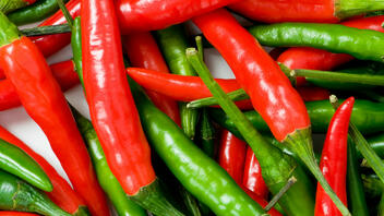 Πώς συντηρούνται οι πιπεριές στην κατάψυξη;