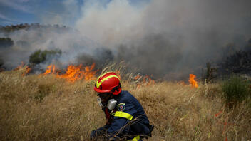 Υπό μερικό έλεγχο η φωτιά στην περιοχή Φαλάνθη Μεσσηνίας