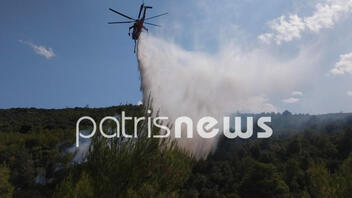 Ζαχάρω: Φωτιά σε δασική έκταση στη Σμέρνα