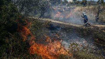 Φωτιά στον Έβρο: Υπό απειλή η περιοχή NATURA στο δάσος της Δαδιάς