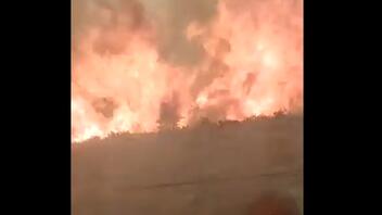 Σοκαριστικό video: Δασική πυρκαγιά περικύκλωσε τρένο!