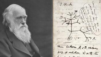 Η απόφαση του Δαρβίνου που οδήγησε στις μελέτες για την καταγωγή των ειδών
