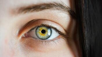  Εμφύτευμα από κολλαγόνο χοίρου που ανέπτυξαν επιστήμονες αποκατέστησε την όραση τυφλών ανθρώπων!