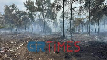 Φωτιά στο Σέιχ Σου: Τέθηκε υπό έλεγχο - Πόση έκταση κάηκε
