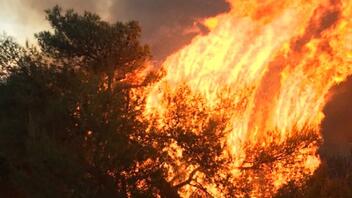 Άγιο Όρος: Μαίνεται η φωτιά σε αγροτοδασική έκταση