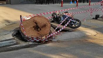 Γραμματέας Δήμου Ηρακλείου: "Το δέντρο δεν εμφάνιζε νοσηρότητα" 