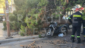 Τραγωδία: Νεκρός o οδηγός μηχανής που καταπλακώθηκε από δέντρο- Δείτε φωτογραφίες 