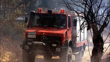 Βάλια Κάλντα: Για 12η ημέρα συνεχίζει να καίγεται ο εθνικός δρυμός