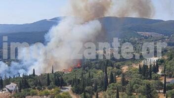 Πυρκαγιά σε δασική έκταση στη Ζάκυνθο – Προς εντολή εκκένωσης καταλύματα 