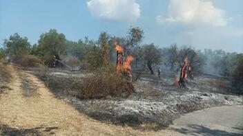 Κέρκυρα: Φωτιά στο Τεμπλόνι – Καίει δασική έκταση και ελιές