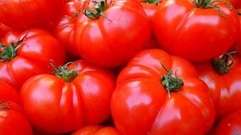 Εντυπωσιακά οφέλη που παρέχουν οι ντομάτες στην υγεία